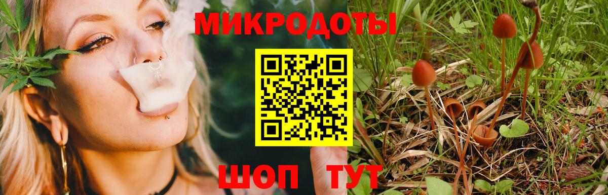 Галлюциногенные грибы GOLDEN TEACHER  Вход с VPN  Пятигорск 